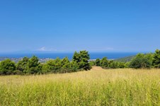 Property 63849 photo 1