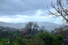 Property 63881 photo 18