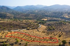 Property 63890 photo 4