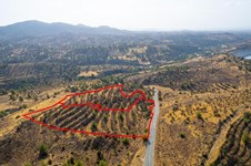 Property 63891 photo 4