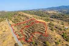 Property 63891 photo 3