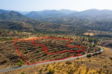 Property 63891 photo 2