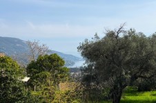 Property 64115 photo 29