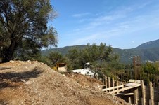 Property 64115 photo 41