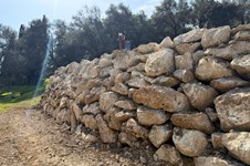 Property 64115 photo 43