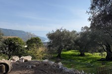 Property 64115 photo 39