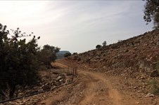 Property 64250 photo 6