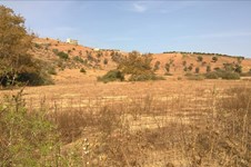 Property 64250 photo 10