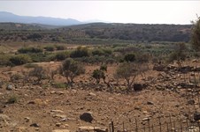 Property 64251 photo 8