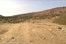 Property 64251 photo 2