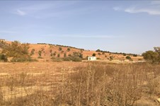 Property 64251 photo 6