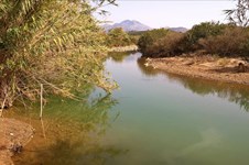 Property 64251 photo 3