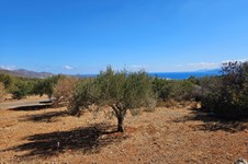 Property 64280 photo 2