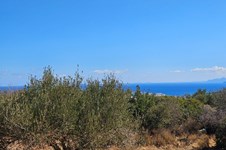 Property 64280 photo 1