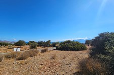 Property 64280 photo 3