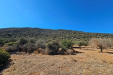 Property 64280 photo 4