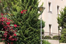 Property 64346 photo 1