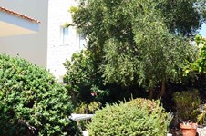 Property 64351 photo 5