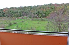 Property 64455 photo 20