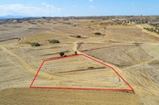 Property 64516 photo 4