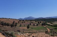 Property 64551 photo 1