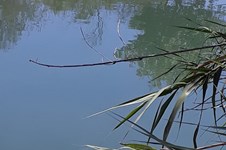 Property 64552 photo 2