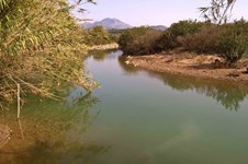 Property 64552 photo 3