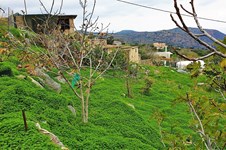 Property 64555 photo 11