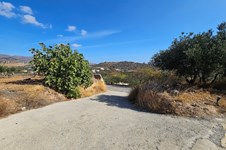 Property 64609 photo 11