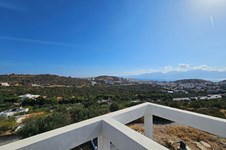 Property 64609 photo 19