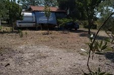 Property 64620 photo 5