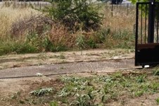 Property 64620 photo 4