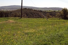 Property 64636 photo 2