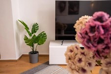 Property 64674 photo 18