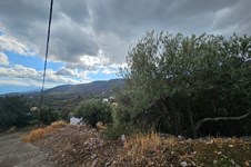 Property 64677 photo 3