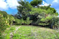 Property 64690 photo 60