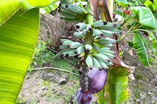 Property 64690 photo 58