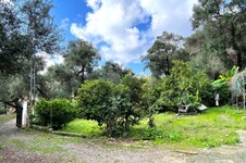 Property 64690 photo 59