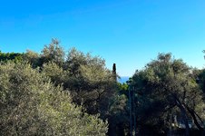 Property 64690 photo 3