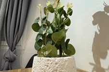 Property 64703 photo 10