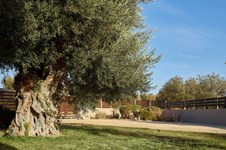 Property 64708 photo 5