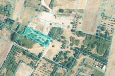 Property 64711 photo 1