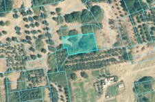 Property 64713 photo 1