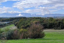 Property 64726 photo 1