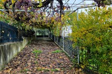 Property 64727 photo 37