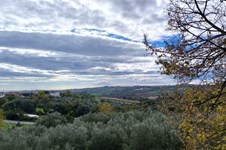 Property 64727 photo 17