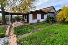 Property 64727 photo 40