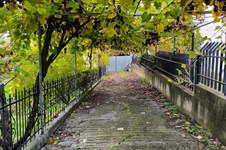 Property 64727 photo 39