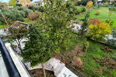 Property 64727 photo 26