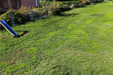 Property 64739 photo 16